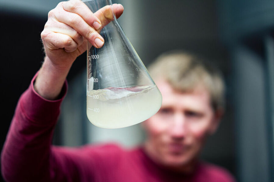 Elfried inspecteert onze SCOBY